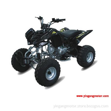 ATV   (YG110ATV)